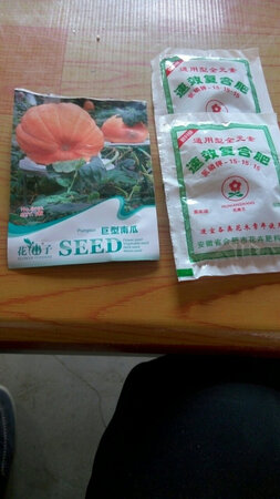 种子应该不错，还没种。试试看吧。