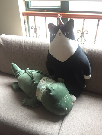挺好玩的布偶
