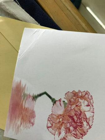 不错，适合给女朋友的祝福贺卡