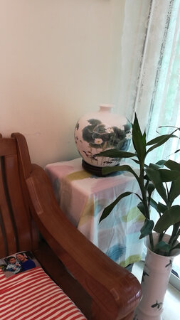 瓶子太好看了，有鸭子有水有荷叶，有水有木，放我女儿的位置，补足她的水木，小孩位置放花瓶在学校会得到老师同学的尊敬跟喜爱的，家里应该多放些漂亮的的花瓶。这家瓶子太棒了，下回接着买。