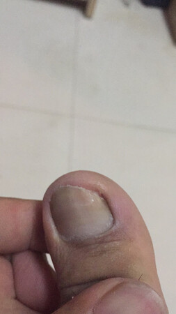 刀挺快，不过钢真差，买家卖家自己看，就用了一次