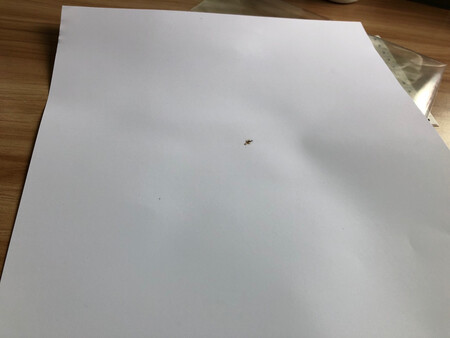总体还不错，但QC要加强，有一两张上面有蚊子那啥。