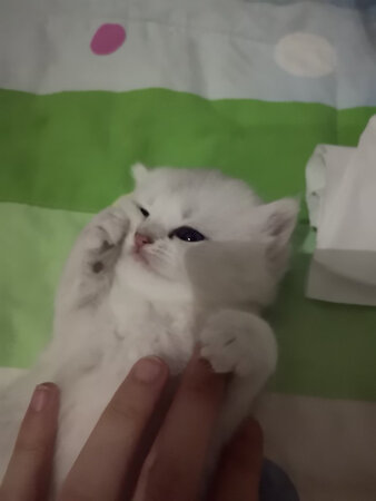 还行吧，这个价能买到，不错啊