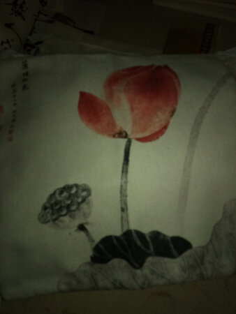 货品质不错和描述的一样。下一步就看洗了会不会掉色！