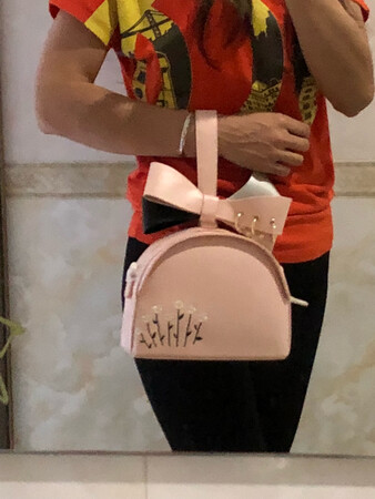 与图片有略微色差，实物是肉粉色，个人觉得比图片还好看，做工、质量都好，包包外侧有个放卡的小隔，包里面两侧各有带拉链和不带拉链的小隔，包小空间大，PU没有味道，推荐购买