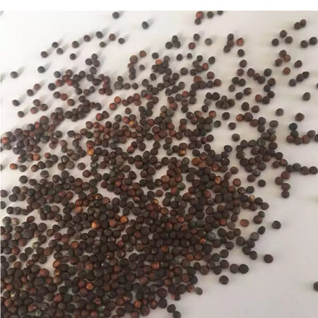 评价晚了，因为快递不给送货还得自取，种子好像发芽长苗了吧，妈妈种的，还没问，希望长的很好