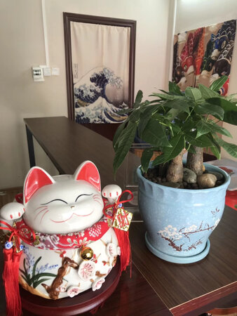 不错的商品，挺漂亮的，送朋友挺好！！！！！