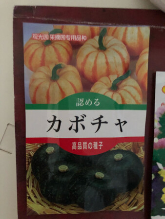 送货超级快，不知道能不能种成。