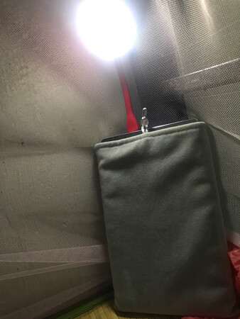 用了一个礼拜，测试了一下我苹果7只能充5-6次，看他们的数据是苹果8充15次这数据不知道怎么来的，我的要求不到15次也得有个8,9次吧