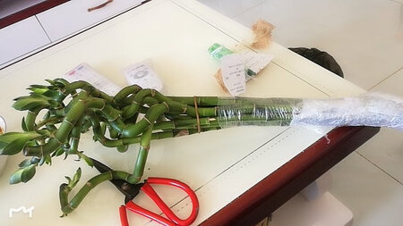 质量挺好，很满意。
