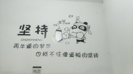 就想说:物廉价美，贴在一个人住的寝室，瞬间美美的！也不会有空空旷的感觉了！谢谢卖家！