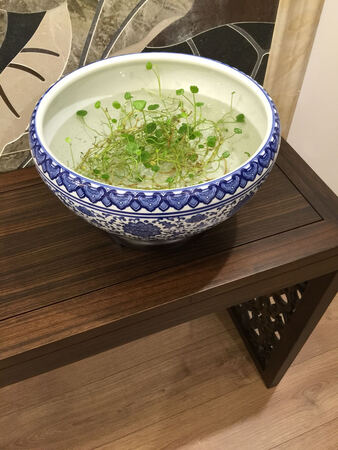 好好好好好好好好好好