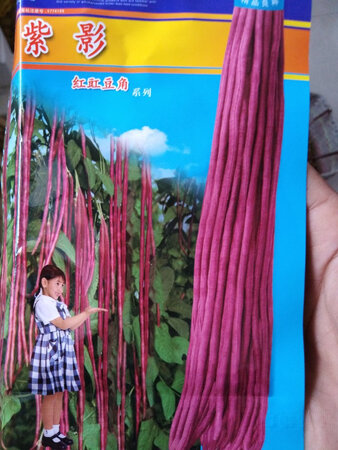 卖家发货速度快种子饱满很不错呀