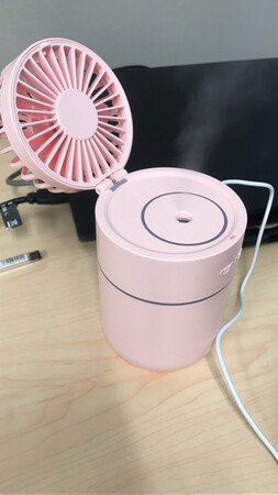 办公室小萌物 夏天必不可少 赞