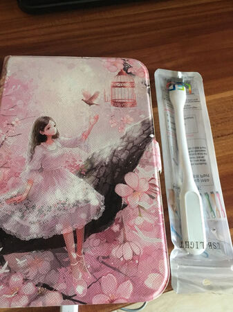 很漂亮的，还赠送了一个小灯，很贴心