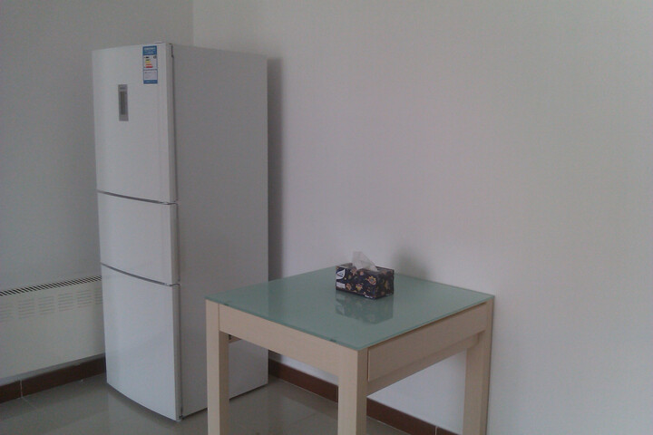 西门子 (SIEMENS) KK25F55TI 245升 三门冰箱