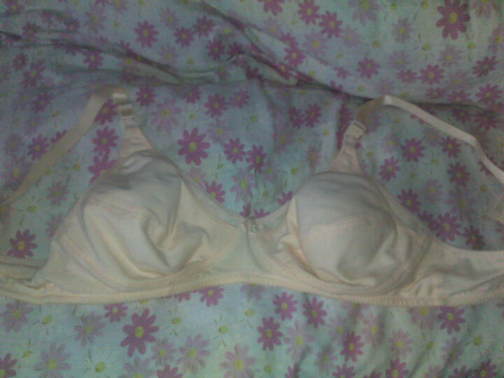 莱薇妈咪 哺乳<em>文胸</em> 爆卖<em>孕妇文胸</em> <em>纯棉孕妇</em>内衣