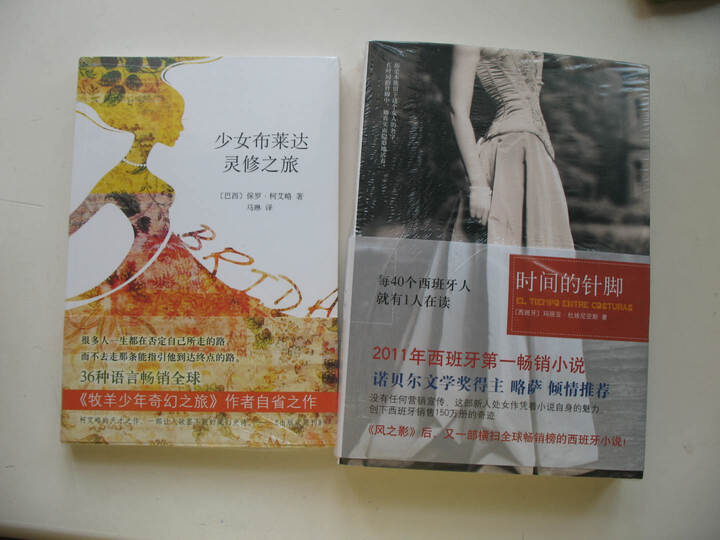 <em>少女布莱达</em>灵修之旅--一本很好看的书