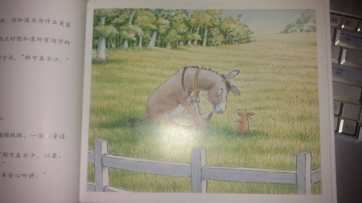 信谊世界精选图画书:天为啥是蓝的--可爱的图画