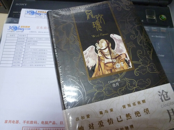 风玫瑰--沧月的风玫瑰