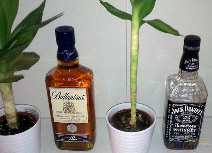 Jack Daniel s杰克丹尼田纳西州威士忌 750ml-