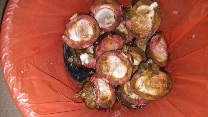 【支持货到付款】富居开学礼物送女友生日毛绒