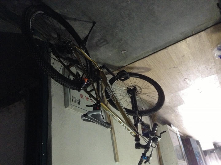 菲利普自行车双碟刹山地车 WG880-S 土豪金-