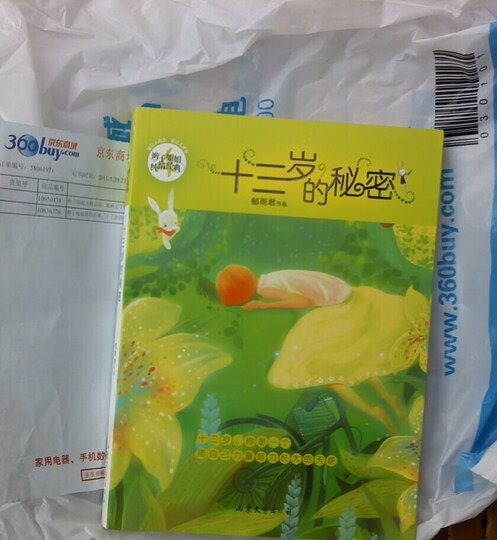 辫子姐姐纯情经典:十三岁的秘密--13岁的秘密