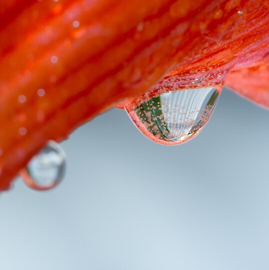 佳能(Canon) EF 100mm f/2 USM 远摄定焦镜头 套装 晒单图