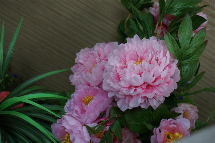 索尼(SONY) NEX-3NL 微单单镜套机 黑色(E P