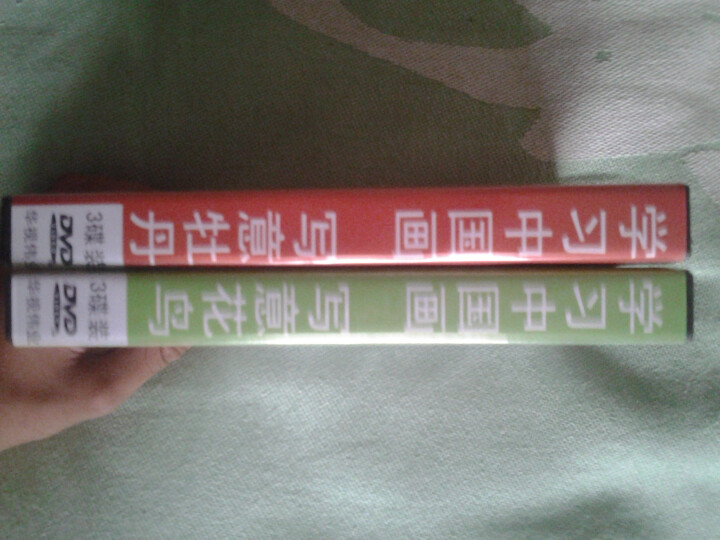 学习中国画:写意花鸟(3DVD) 晒单图