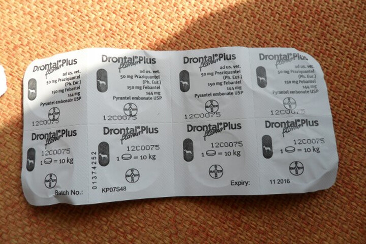 拜宠清 拜耳犬用宠物体内驱虫药 0.7765g*8粒(复方非班太尔片)--拜宠清我喜欢!