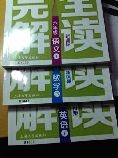 新教材完全解读 语文 6年级下 新课标上海版--本