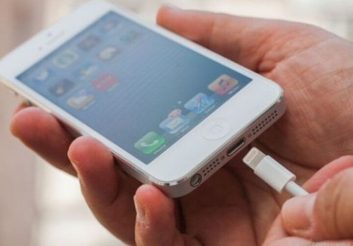 亿色 (ESR) iPhone5\/iPad mini 数据线 Lightnin