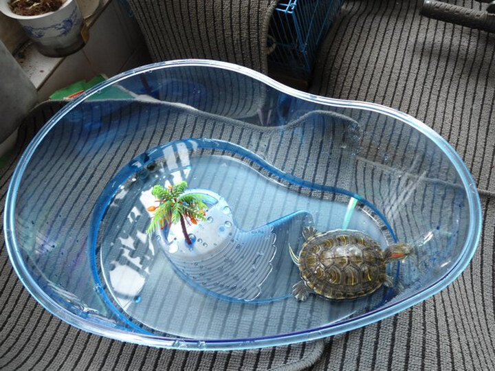 玩家宝贝大乌龟盆乌龟盒子饲养盒饲养箱养龟龟