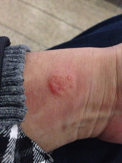 瑞虎海外版染发剂植物一洗黑洗发水 染发膏直