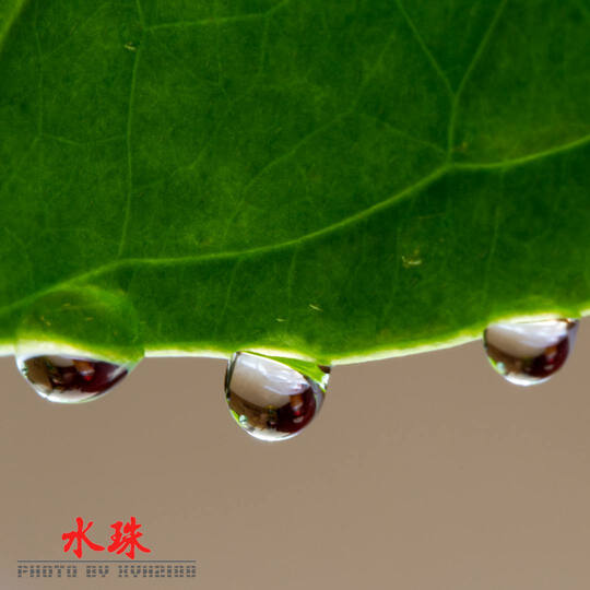 佳能(Canon) EF 100mm f/2 USM 远摄定焦镜头 套装 晒单图
