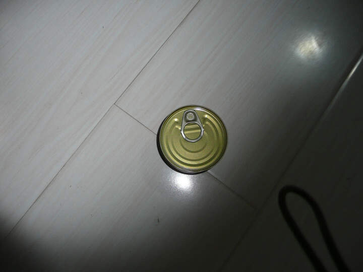 凯芙油浸金枪鱼:金枪鱼又叫鲔鱼。香港人起初