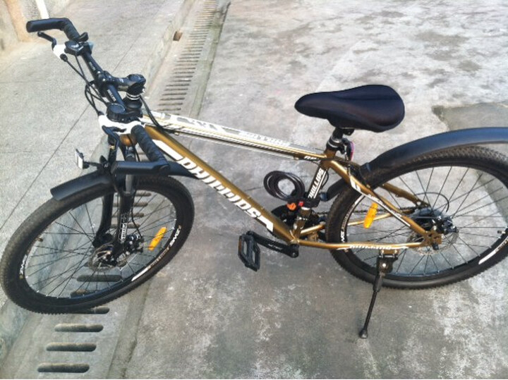 菲利普自行车双碟刹山地车 WG880-S 土豪金-