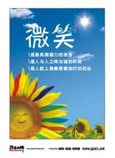 飞科(FLYCO)FH6207家庭专用负离子电吹风(银