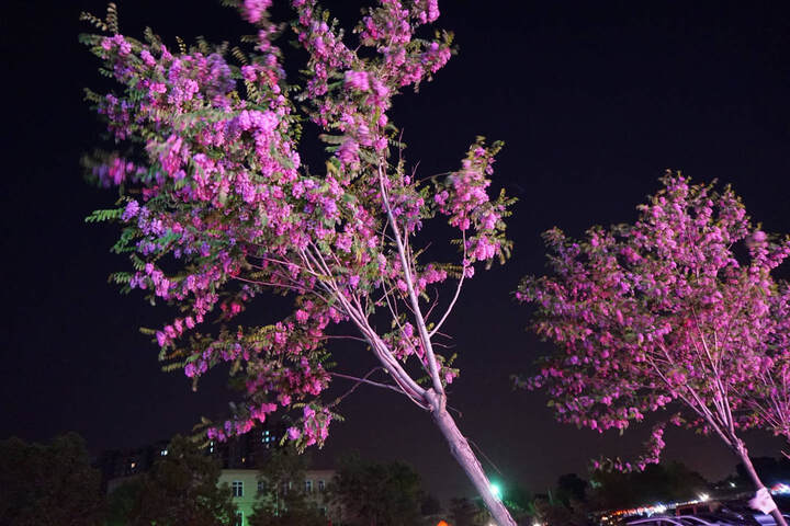 索尼(SONY) ILCE-5000L\/α5000 微单单镜套机