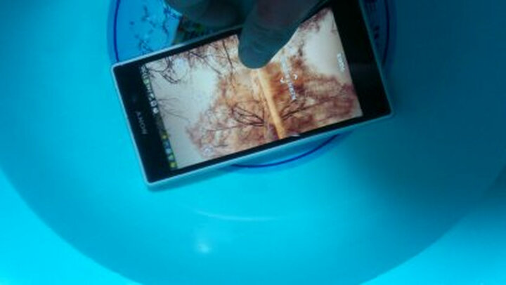 索尼(SONY)Xperia Z1 L39h 3G手机(白色)WCD