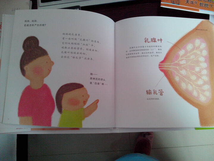 蒲蒲兰绘本馆:乳房的故事(儿童性教育绘本系列