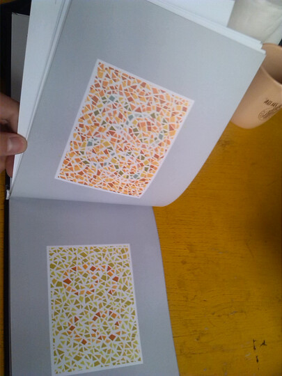 色盲检查图(第5版)俞自萍--检查图不错