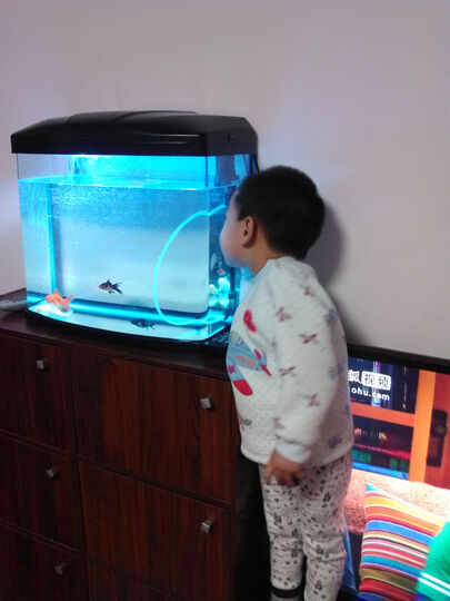 松宝鱼缸 玻璃生态免换水中小型水族箱 超大5