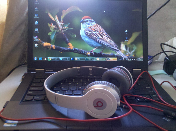 BEATS Solo HD 独奏高清版 900-00012-02 头