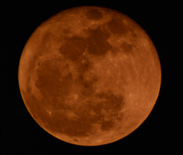 威摄(Walimex) 650-1300mm F8-16 FOR NIKO