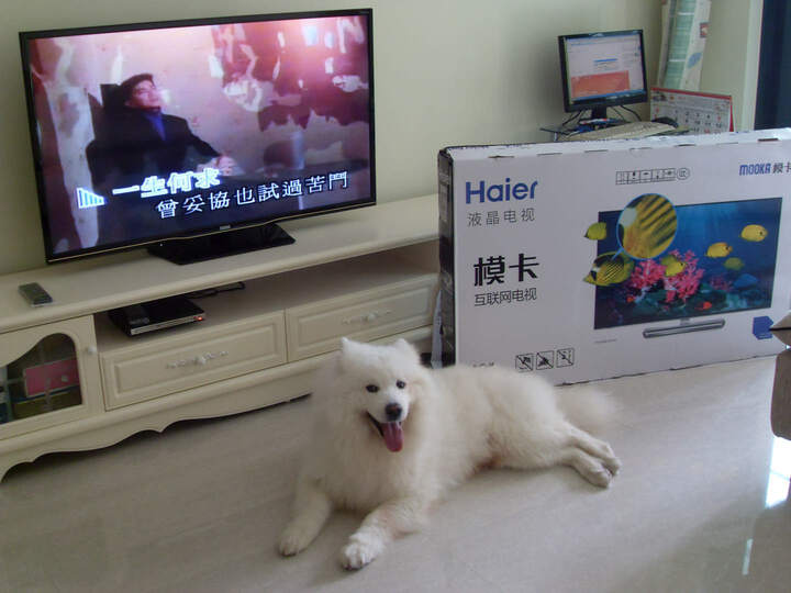 海尔模卡(MOOKA) 48A5 48英寸 窄边框安卓智