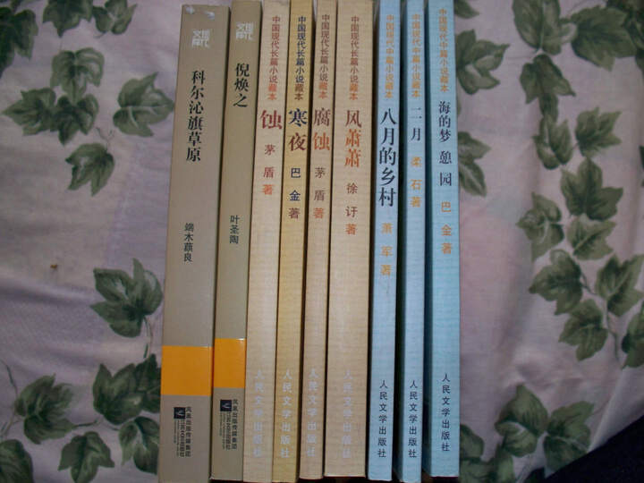 八月的乡村--经典好书经典好书