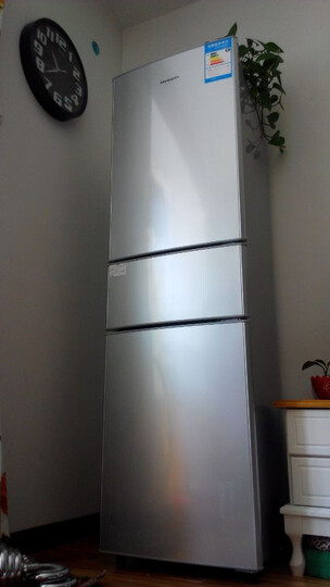 创维(SKYWORTH) BCD-191T 191升冰箱 三门